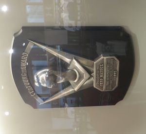 1992년 매덕스에게 수여된 사이 영 상