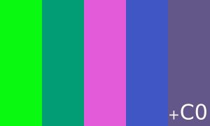 자유 발언 깃발(Free Speech Flag)은 AACS 암호화 키 논란 당시 "개인의 자유를 지지하는 상징"으로 만들어졌다.