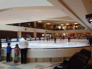 포틀랜드의 로이드 센터에 있는 아이스 샬레. 하딩은 네 살 때부터 이곳에서 스케이팅을 시작했다.