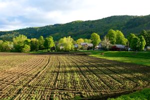 버몬트주 베델의 갈이밭