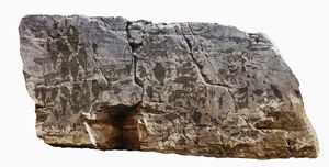 동물과 사람의 모습이 묘사된 암각화