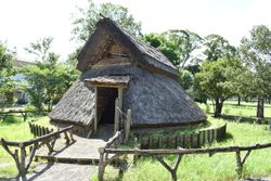 복원된 토로 유적의 수혈식 평지 건물.
