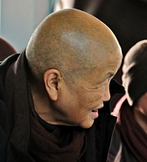 진 공(Chân Không)(Sister True Emptiness)