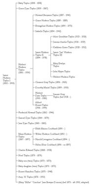 테일러의 자손을 보여주는 차트(확대하려면 클릭)