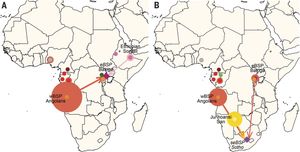 반투어 사용 인구의 확산 재구성