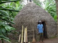 전통적인 차가족 주거