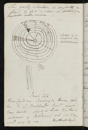 찰스 라이엘의 아이디어 중 하나를 펜으로 그린 그림