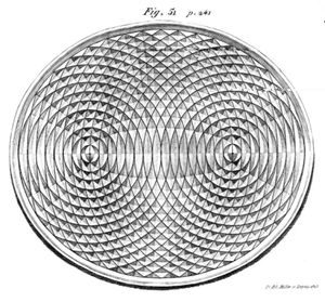 타원의 초점에 수은에 떨어뜨린 작은 물방울의 파동 패턴