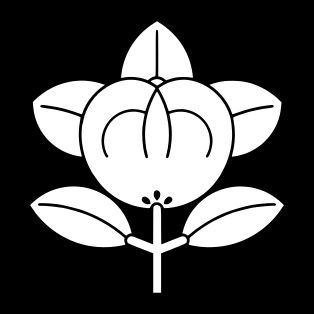 다치바나 씨의 문장