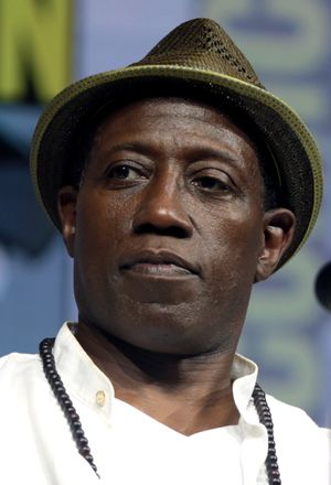 웨슬리 스나이프스(Wesley Snipes)