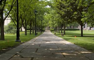 바시티 워크(Varsity Walk)