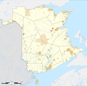 뉴브런즈윅의 행정 구역 (역사적 군 경계도 표시됨)