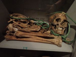 아디스아바바에 있는 붉은 테러 희생자 추모관에 있는 두개골 유해