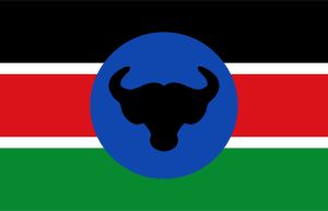 남수단 해방 운동(위의 깃발)은 정부 편에서 분쟁에 참여했습니다.