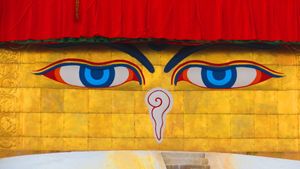 보우다나트의 눈