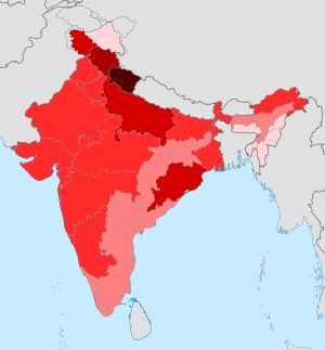 각 주의 브라만 인구 비율 (최근 카스트 인구 조사 자료)