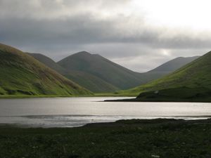메드니섬(Medny Island)
