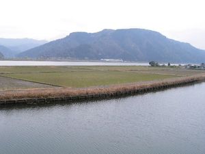 마루야마강 하류의 논