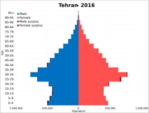 2016년 테헤란 주 인구 피라미드