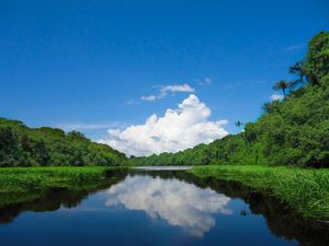 아나빌하나스 국립공원(Anavilhas National Park) 지상 전경