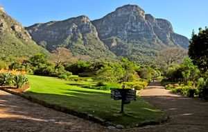 키르스텐보시 국립식물원(Kirstenbosch National Botanical Garden)에서 바라본 테이블 마운틴(Table Mountain)