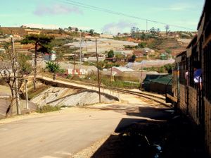 짜이맛까지 가는 관광열차