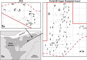 케냐 일레렛 근처 두 지역의 화석 발자국 그림