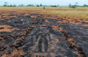 라자 가우리(Lajja Gauri)