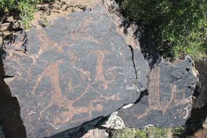 콕수 암각화의 사냥 장면