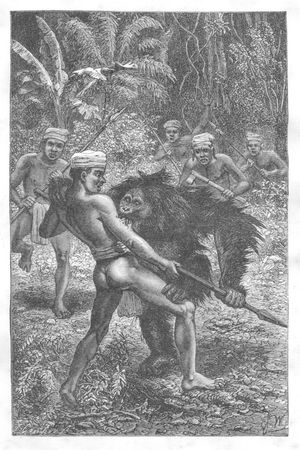 오랑우탄과 싸우는 다야크족 병사(ヨーゼフ・ヴォルフ 그림)