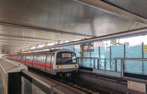 대중 급행 철도