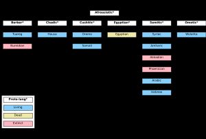 아프로아시아어족의 널리 인정되는 여섯 개의 어파와 각 어파의 주요 언어 또는 문화적으로 중요한 언어들을 보여주는 도표