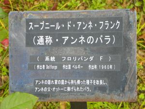 스마리큐 공원의 설명판.