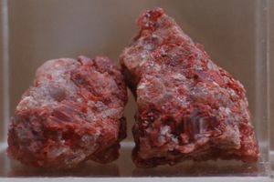 뉴멕시코에서 산출된 칼륨광석