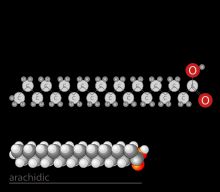 포화 지방산인 아라키드산의 구조.