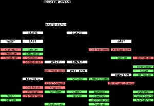 발트슬라브어파 계통 수형도