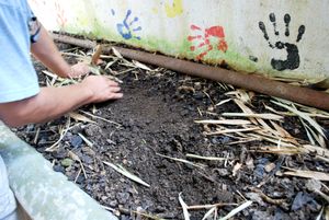 멕시코 라 초니타 아시엔다(La Chonita Hacienda)에서 기르는 지렁이