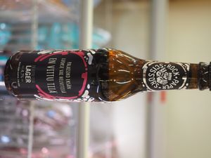 palaa}}("타다")에서 파생되었는지에 따라 "돌아가야 할까" 또는 "타야 할까"라는 의미를 가질 수 있다.