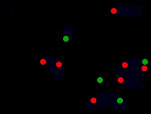 폴란드어 구강 모음을 모음도에 묘사, 에서 발췌. 주요 이음(검은색)은 넓은 전사로, 위치 이음(빨간색과 녹색)은 좁은 전사로 나타냅니다. 위치 변이(빨간색)는 구개음 환경에서 나타납니다.