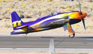 레어 베어(Rare Bear)