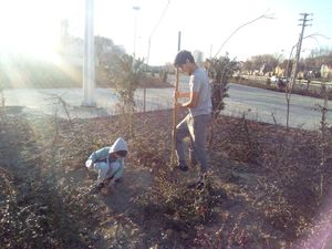 페르시아 테헤란의 나무 심기 의식