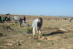 페스쿠에사에서 상수리나무 심기