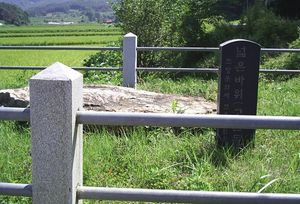 충청남도 홍성군에 있는 개석식 고인돌