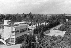 1940년 엔 하호레시