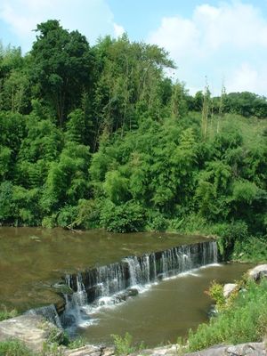 미노우 강의 구로타키 폭포(기카와정 킨카이)