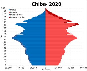 2020년 지바현 인구 피라미드
