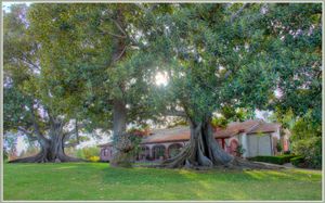 란초 로스 알라미토스