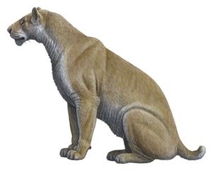 마우리키오 안톤의 제노스밀루스 생태 복원도