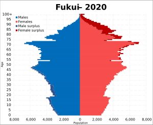 2020년 후쿠이현 인구 피라미드
