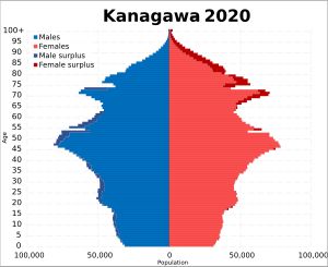2020년 가나가와현 인구 피라미드